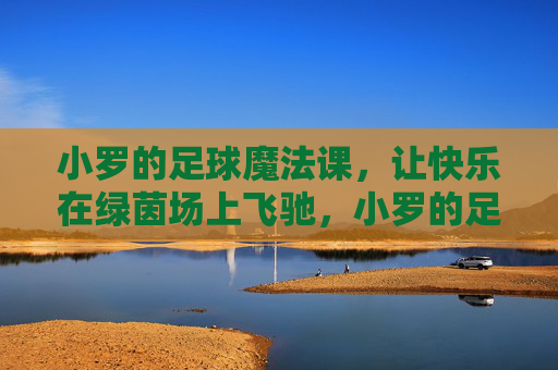 小罗的足球魔法课,让快乐在绿茵场上飞驰,小罗的足球魔法课,快乐绿茵飞驰