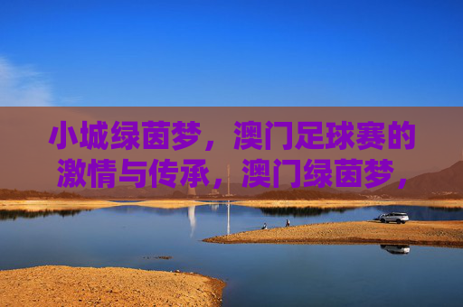 小城绿茵梦，澳门足球赛的激情与传承，澳门绿茵梦，小城足球的激情与传承