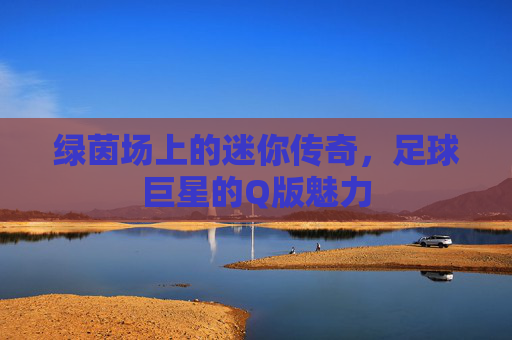 绿茵场上的迷你传奇,足球巨星的Q版魅力