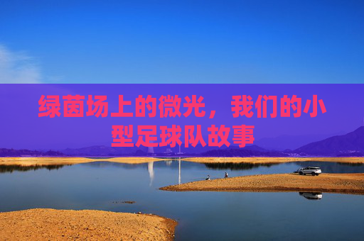 绿茵场上的微光,我们的小型足球队故事