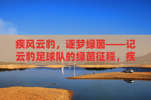 疾风云豹,逐梦绿茵——记云豹足球队的绿茵征程,疾风云豹逐梦绿茵