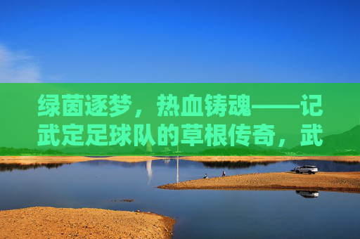 绿茵逐梦，热血铸魂——记武定足球队的草根传奇，武定足球队，草根逐梦，热血铸魂