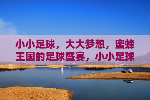 小小足球,大大梦想,蜜蜂王国的足球盛宴,小小足球,大大梦想,蜜蜂王国足球盛宴