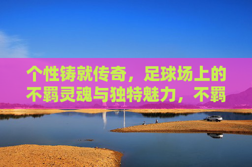 个性铸就传奇，足球场上的不羁灵魂与独特魅力，不羁个性，球场传奇