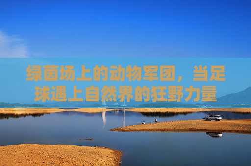 绿茵场上的动物军团,当足球遇上自然界的狂野力量