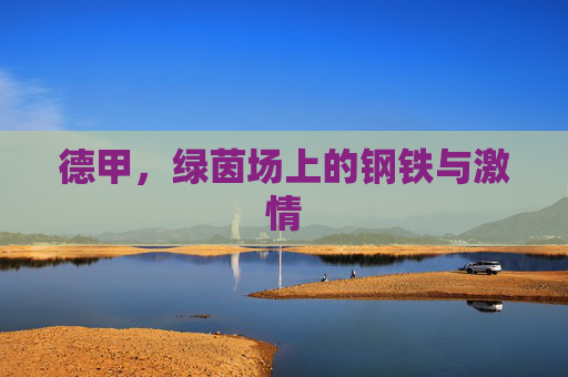 德甲,绿茵场上的钢铁与激情