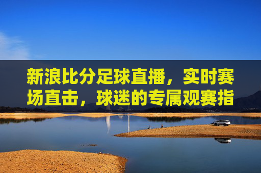 新浪比分足球直播,实时赛场直击,球迷的专属观赛指南,新浪比分足球直播,实时赛场直击,球迷专属观赛指南