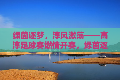 绿茵逐梦，淳风激荡——高淳足球赛燃情开赛，绿茵逐梦淳风激荡，高淳足球赛燃情开赛