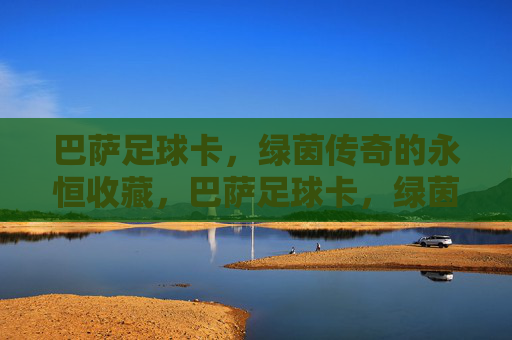 巴萨足球卡,绿茵传奇的永恒收藏,巴萨足球卡,绿茵传奇的永恒珍藏