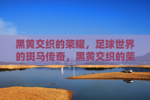 黑黄交织的荣耀，足球世界的斑马传奇，黑黄交织的荣耀，斑马足球传奇
