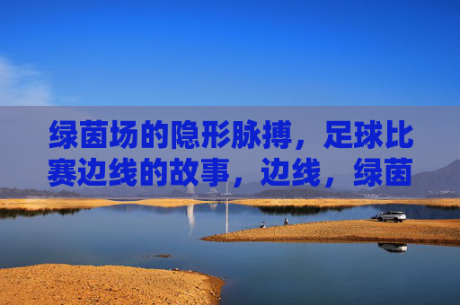 绿茵场的隐形脉搏,足球比赛边线的故事,边线,绿茵场的隐形脉搏