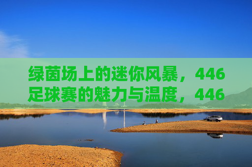 绿茵场上的迷你风暴，446足球赛的魅力与温度，446足球赛，绿茵风暴里的魅力与温度