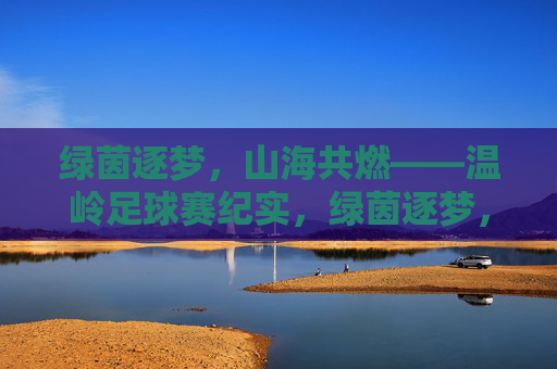 绿茵逐梦，山海共燃——温岭足球赛纪实，绿茵逐梦，山海共燃——温岭足球赛