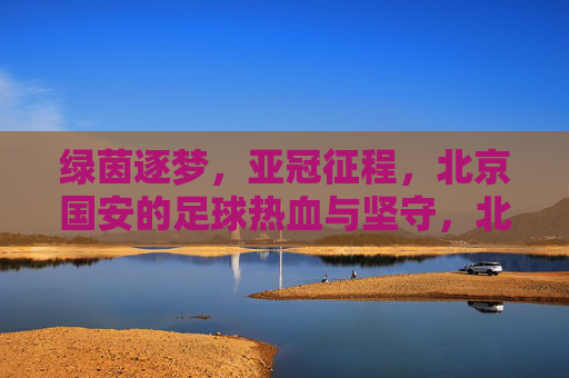 绿茵逐梦,亚冠征程,北京国安的足球热血与坚守,北京国安亚冠逐梦,绿茵热血与坚守之路