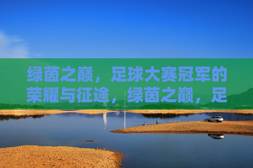绿茵之巅，足球大赛冠军的荣耀与征途，绿茵之巅，足球冠军的荣耀征途