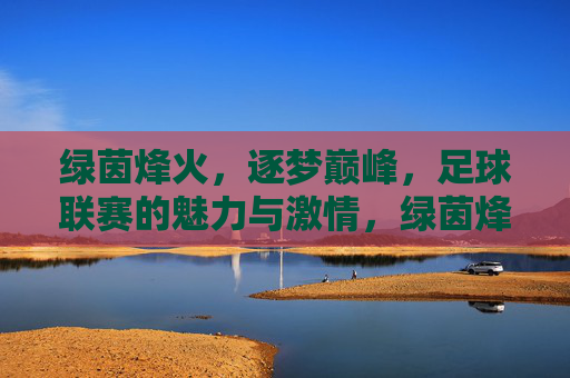绿茵烽火,逐梦巅峰,足球联赛的魅力与激情,绿茵烽火逐梦巅峰,足球联赛的魅力与激情