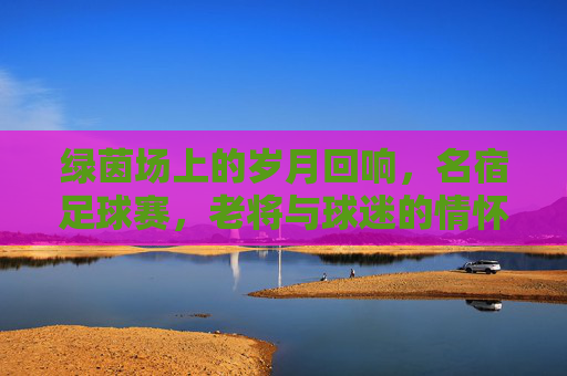绿茵场上的岁月回响,名宿足球赛,老将与球迷的情怀之约,绿茵岁月回响,名宿与球迷的情怀之约