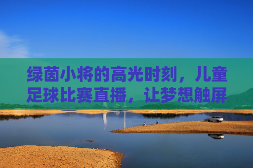 绿茵小将的高光时刻,儿童足球比赛直播,让梦想触屏可及