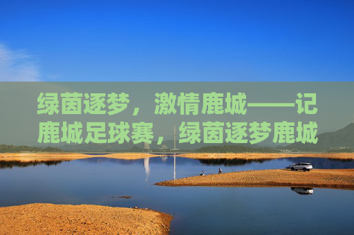 绿茵逐梦，激情鹿城——记鹿城足球赛，绿茵逐梦鹿城，足球激情澎湃