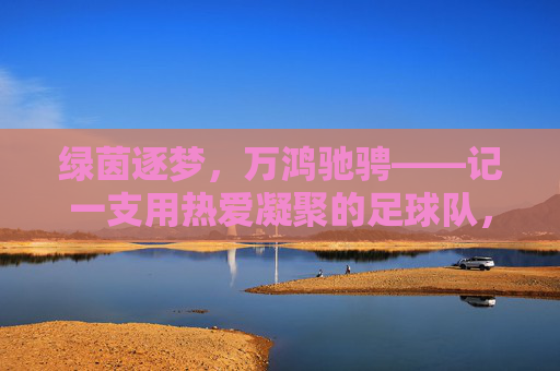 绿茵逐梦，万鸿驰骋——记一支用热爱凝聚的足球队，绿茵逐梦，热爱驰骋