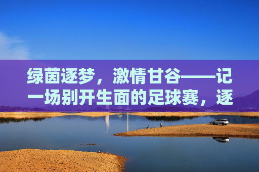 绿茵逐梦，激情甘谷——记一场别开生面的足球赛，逐梦绿茵，激情甘谷