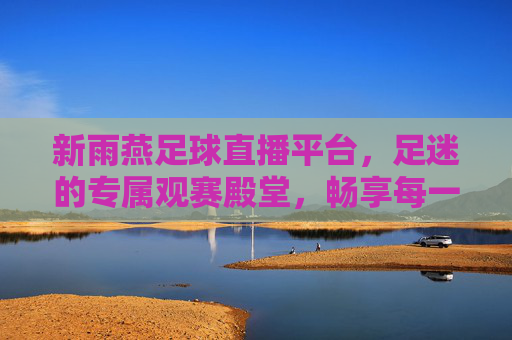 新雨燕足球直播平台，足迷的专属观赛殿堂，畅享每一刻激情，新雨燕，足迷专属观赛殿堂，畅享每一刻足球激情