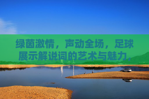 绿茵激情,声动全场,足球展示解说词的艺术与魅力,绿茵声动,足球解说词的艺术魅力