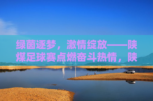 绿茵逐梦,激情绽放——陕煤足球赛点燃奋斗热情,陕煤足球赛,绿茵逐梦点燃奋斗激情