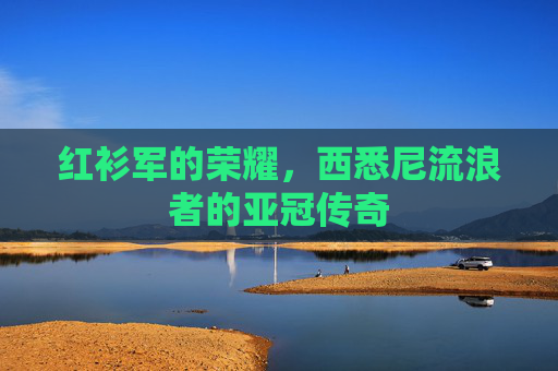 红衫军的荣耀,西悉尼流浪者的亚冠传奇
