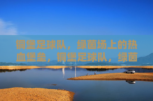 铜堡足球队,绿茵场上的热血堡垒,铜堡足球队,绿茵场上的热血堡垒
