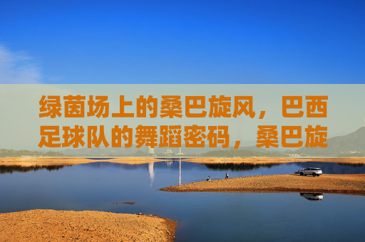 绿茵场上的桑巴旋风,巴西足球队的舞蹈密码,桑巴旋风,巴西足球队的舞蹈密码
