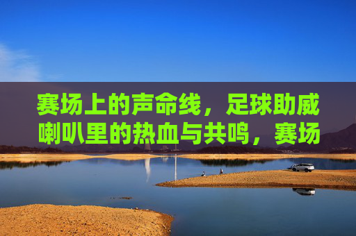 赛场上的声命线,足球助威喇叭里的热血与共鸣,赛场声命线,足球助威喇叭里的热血共鸣