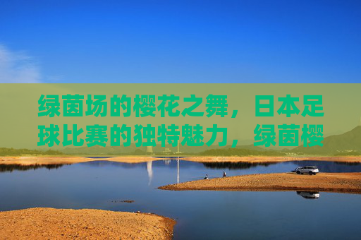 绿茵场的樱花之舞,日本足球比赛的独特魅力,绿茵樱舞,日本足球的独特魅力