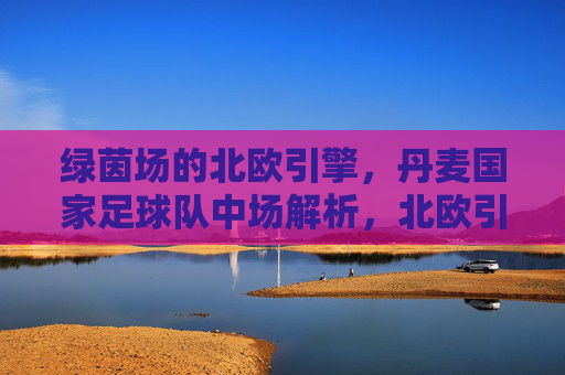 绿茵场的北欧引擎,丹麦国家足球队中场解析,北欧引擎,丹麦国家足球队中场解析