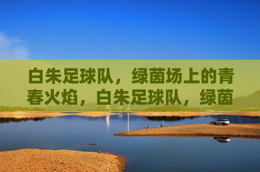 白朱足球队,绿茵场上的青春火焰,白朱足球队,绿茵场上的青春火焰