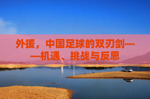 外援,中国足球的双刃剑——机遇、挑战与反思
