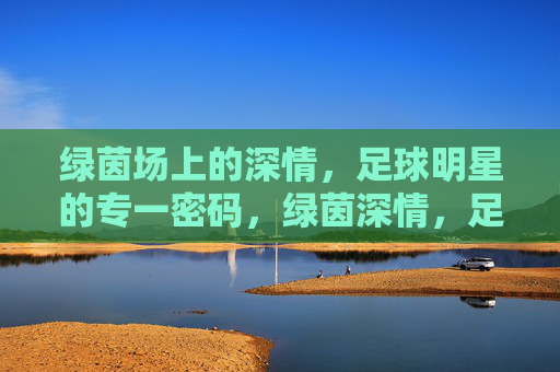 绿茵场上的深情,足球明星的专一密码,绿茵深情,足球明星的专一密码