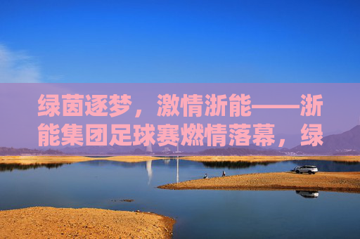 绿茵逐梦，激情浙能——浙能集团足球赛燃情落幕，绿茵逐梦，激情浙能——浙能集团足球赛燃情落幕
