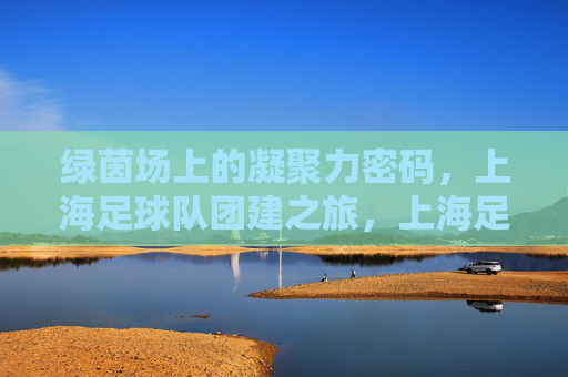 绿茵场上的凝聚力密码,上海足球队团建之旅,上海足球队绿茵团建,解码凝聚力之旅