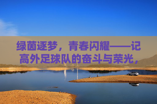 绿茵逐梦,青春闪耀——记高外足球队的奋斗与荣光,绿茵逐梦,青春闪耀——高外足球队奋斗荣光