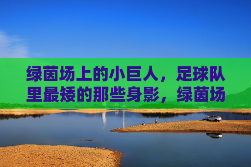 绿茵场上的小巨人,足球队里最矮的那些身影,绿茵场小巨人,足球队最矮的身影