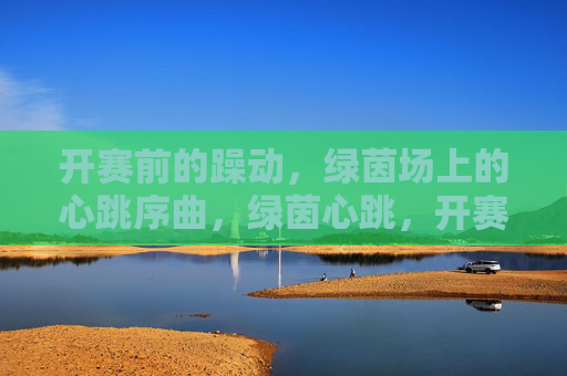 开赛前的躁动,绿茵场上的心跳序曲,绿茵心跳,开赛前的序曲