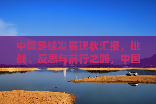 中国足球发展现状汇报,挑战、反思与前行之路,中国足球,现状、挑战、反思与前行之路