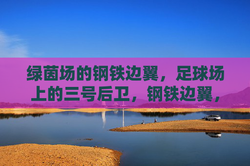 绿茵场的钢铁边翼,足球场上的三号后卫,钢铁边翼,绿茵场上的三号后卫