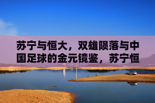 苏宁与恒大,双雄陨落与中国足球的金元镜鉴,苏宁恒大双雄陨落,中国足球金元镜鉴