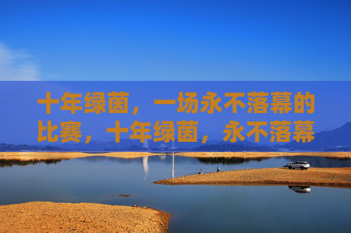 十年绿茵,一场永不落幕的比赛,十年绿茵,永不落幕的比赛