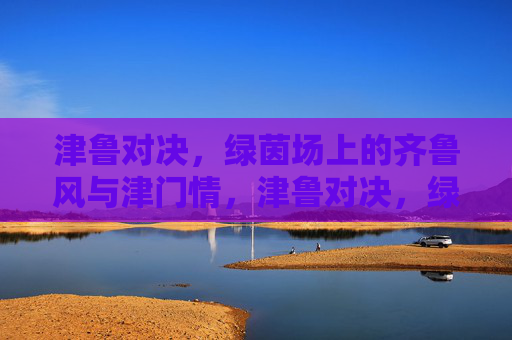 津鲁对决,绿茵场上的齐鲁风与津门情,津鲁对决,绿茵场上的齐鲁风津门情
