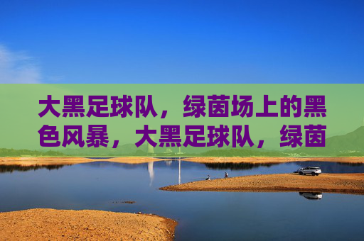 大黑足球队,绿茵场上的黑色风暴,大黑足球队,绿茵场上的黑色风暴