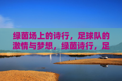 绿茵场上的诗行,足球队的激情与梦想,绿茵诗行,足球队的激情与梦想