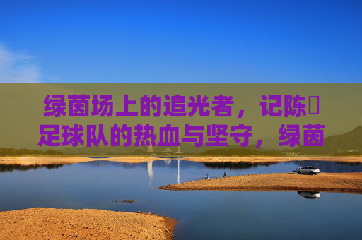 绿茵场上的追光者,记陈喆足球队的热血与坚守,绿茵追光者,陈喆足球队的热血坚守